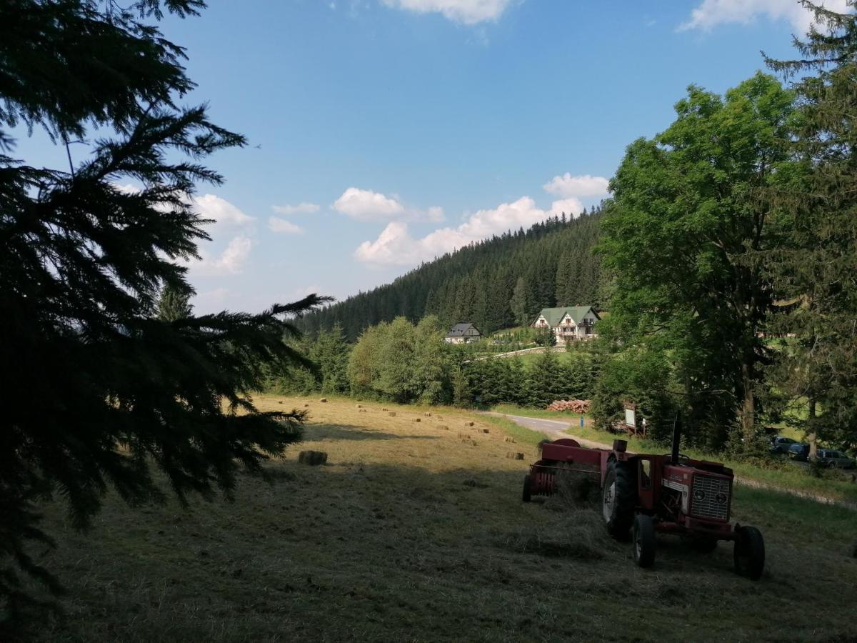 Gosciniec Janowa Gora - Agroturystyka Stronie Śląskie Екстериор снимка