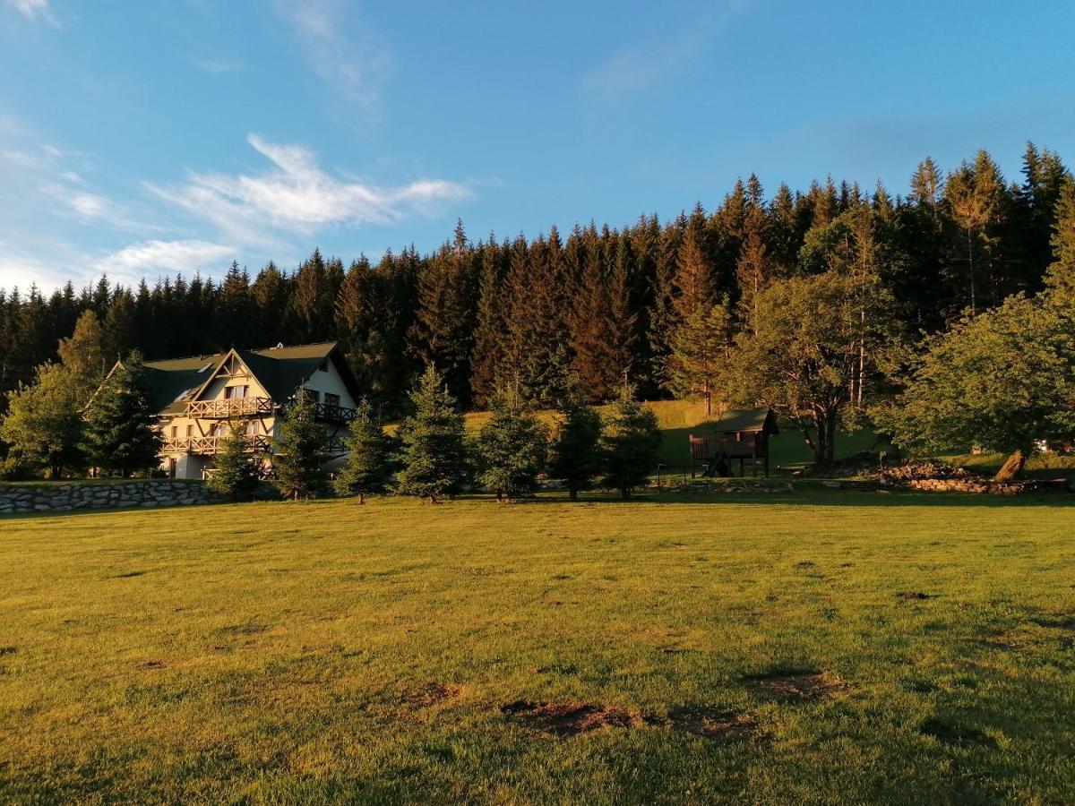 Gosciniec Janowa Gora - Agroturystyka Stronie Śląskie Екстериор снимка