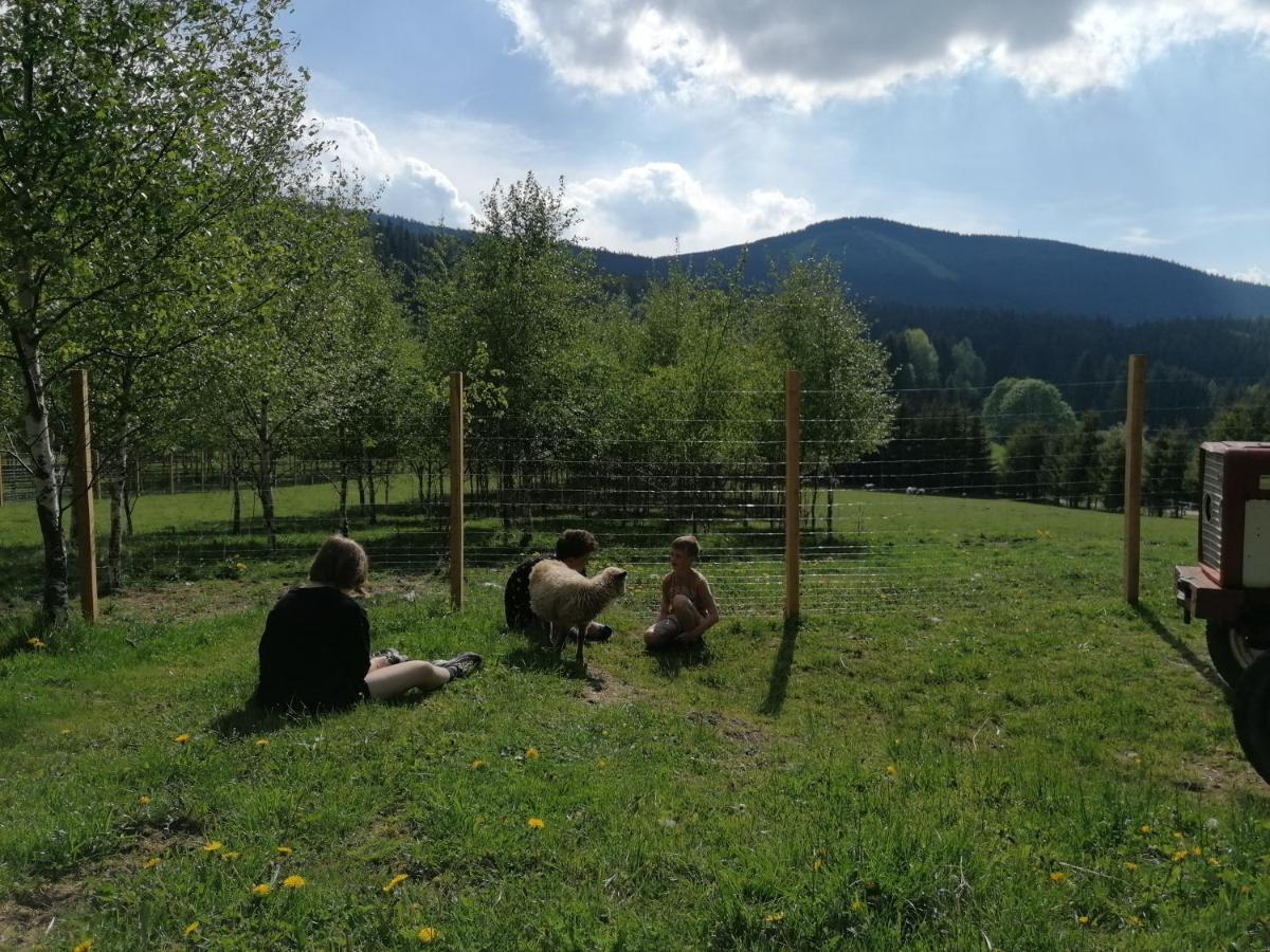 Gosciniec Janowa Gora - Agroturystyka Stronie Śląskie Екстериор снимка